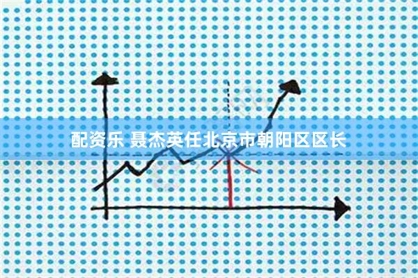 配资乐 聂杰英任北京市朝阳区区长