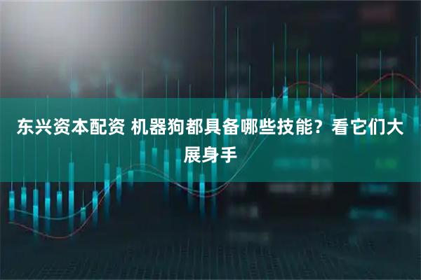 东兴资本配资 机器狗都具备哪些技能？看它们大展身手