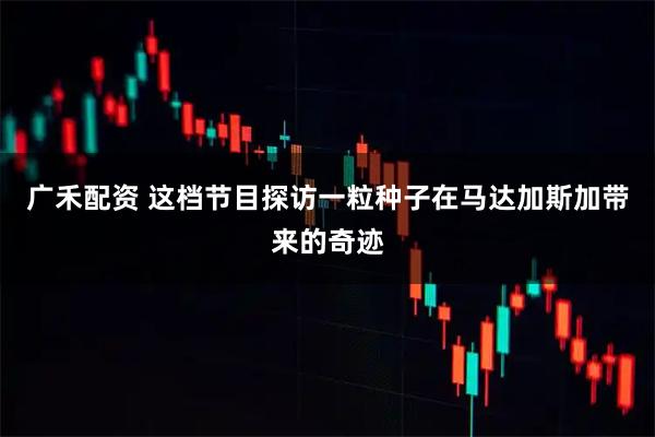 广禾配资 这档节目探访一粒种子在马达加斯加带来的奇迹