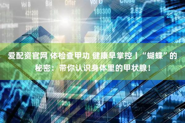 爱配资官网 体检查甲功 健康早掌控丨“蝴蝶”的秘密：带你认识身体里的甲状腺！