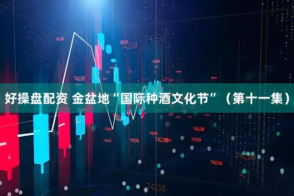 好操盘配资 金盆地“国际种酒文化节”（第十一集）