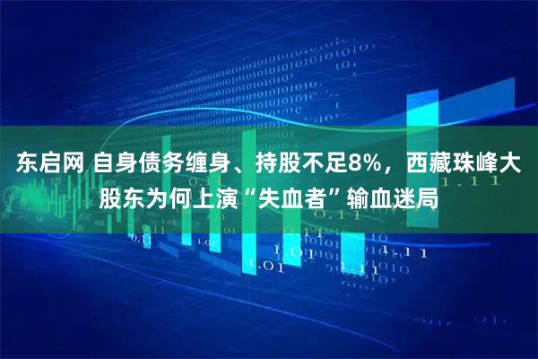 东启网 自身债务缠身、持股不足8%,西藏珠峰大股东为何上演“失血者”输血迷局