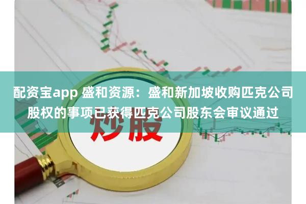 配资宝app 盛和资源：盛和新加坡收购匹克公司股权的事项已获得匹克公司股东会审议通过